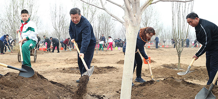 习近平参加首都义务植树活动