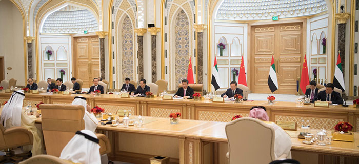 习近平同阿联酋副总统兼总理、阿布扎比王储举行会谈