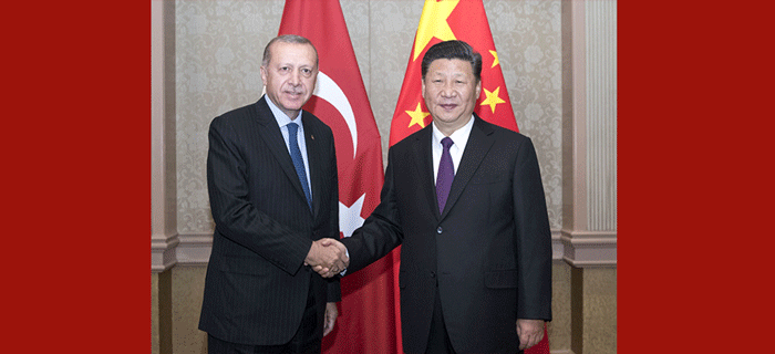 习近平会见土耳其总统埃尔多安