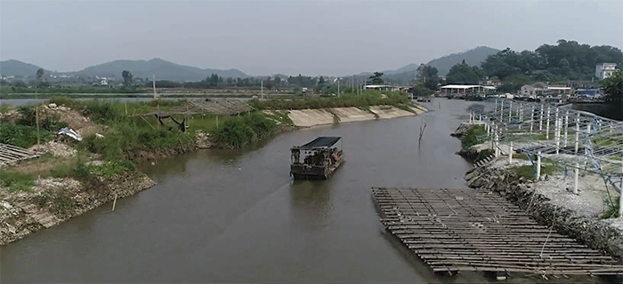 【新时代·幸福美丽新边疆】红树林+生蚝 原生态与经济的完美结合