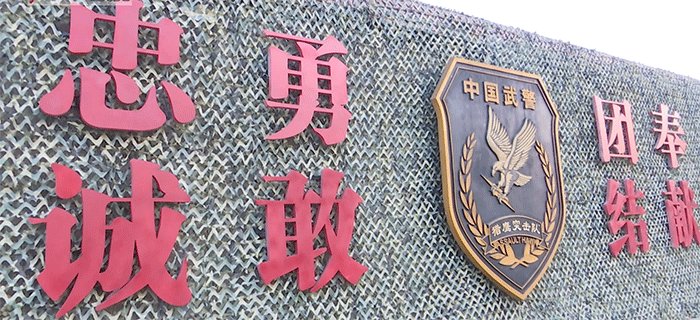 猎鹰突击队出击，大写的帅！