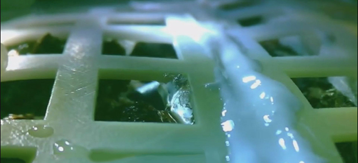 嫦娥四号完成人类首次月面生物实验 月面长出第一株嫩芽
