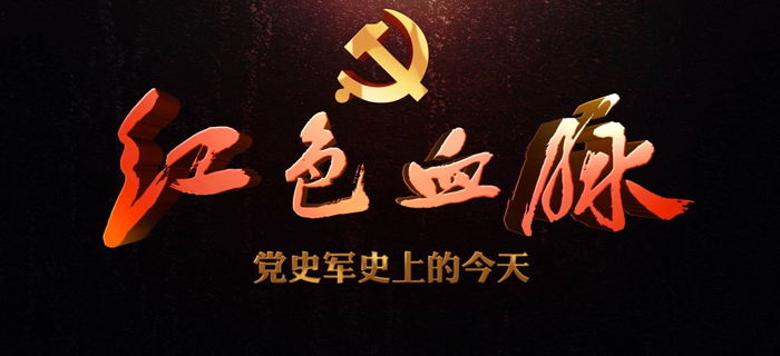 红色血脉——党史军史上的今天｜11月4日 中非合作论坛北京峰会