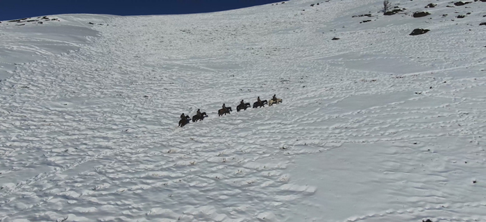 新春走军营丨边防官兵在巡逻路上高歌《我爱边防线》