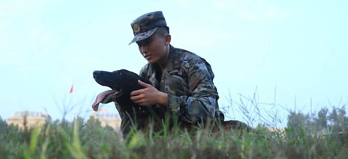 训导员朱军和他的警犬