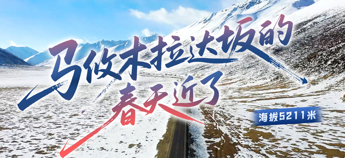 新春走军营丨马攸木拉达坂的春天近了