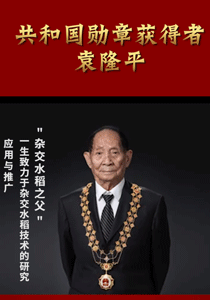 “共和国勋章”获得者——袁隆平