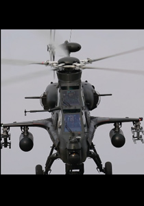 树梢杀手飞出新航迹