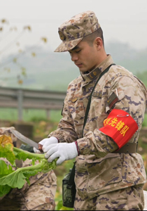 “抢收”好春光