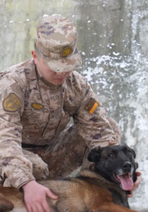 “不服管”秒变“战场利刃”