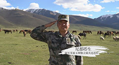 《56个民族56个兵》之⑮藏族骑兵尼都塔生