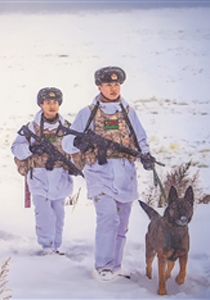 《军报每天读》20260120