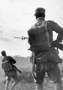 《军报每天读》20260201