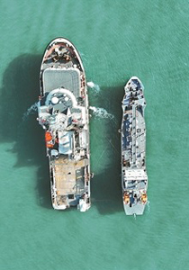 《军报每天读》20260203