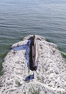 《军报每天读》20260214