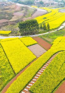 《军报每天读》20260307