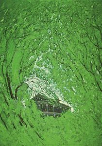 《军报每天读》20260309