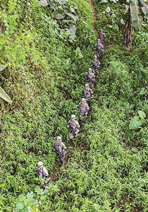 《军报每天读》20260405