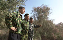 4位退休司令员在沙漠义务植树16年