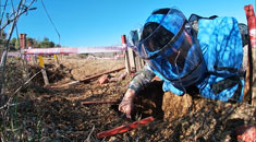 我军3名女扫雷作业手深入雷场 销毁200多枚地雷