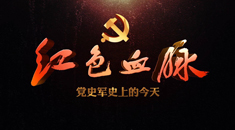 红色血脉——党史军史上的今天｜8月9日 颁布《中华人民共和国民族区域自治实施纲要》