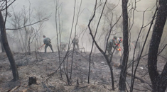 突发山火！武警官兵紧急救援