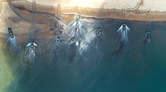 实拍两栖战车海上“科目二”考核！新训驾驶员成绩全优