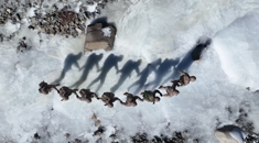 跨冰河翻雪山 边防官兵巡守海拔5200米边防线