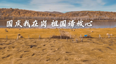 欢迎来到我的站位