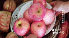 走进中国村庄 体验苹果的N种花式吃法