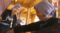 “可爱的中国”之侗族：她们用双手织出侗乡致富新篇章