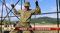 “熊猫袋鼠-2019” 中澳陆军联合训练开幕