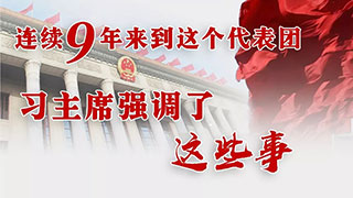 两会特别策划 | 连续9年来到这个代表团，习主席强调了这些事！
