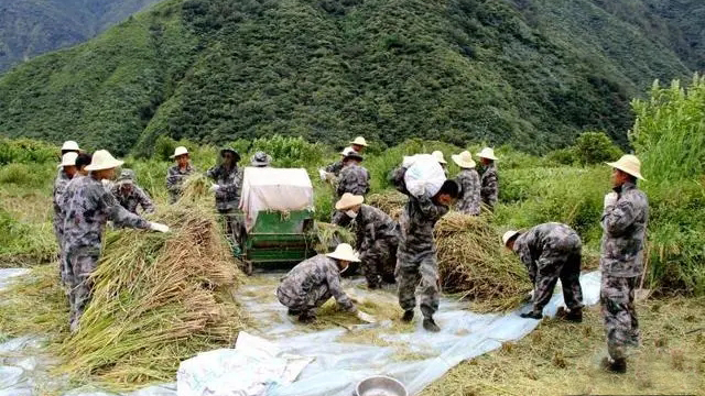 踏访若木新村，皑皑雪山下读懂了什么叫“爱我人民爱我军”