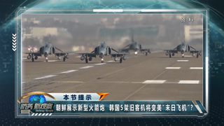 朝鲜展示新型火箭炮系统 哈马斯或在加沙地带重新集结