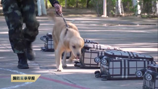 《国防军事早报》20190907