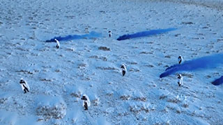 《国防军事早报》 20230109