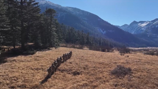 《国防军事早报》 20251203