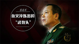 蔡昌军：血火淬炼出的“武教头”