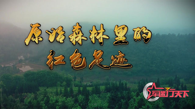 原始森林里的红色足迹