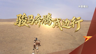 骏马奔腾戍边行