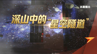 深山中的“星空隧道”