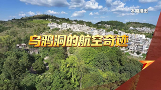 乌鸦洞的航空奇迹