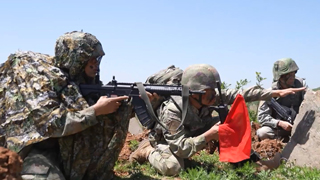 《军事报道》20250609