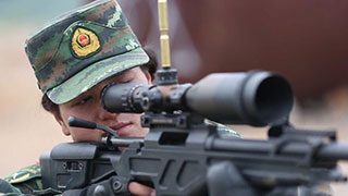 战江南——武警特战部队集训纪实①