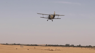 空中“播种机”