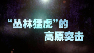 “丛林猛虎”的高原突击（上）