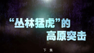 “丛林猛虎”的高原突击（下）