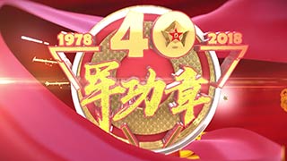 纪念改革开放40周年：军功章
