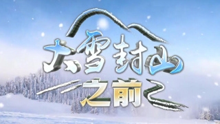 大雪封山之前 阿勒泰的雪海孤岛